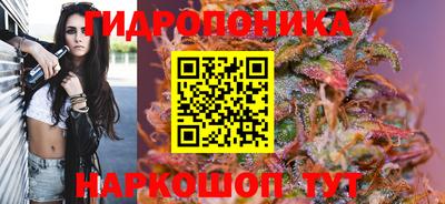 стафф Пугачёв