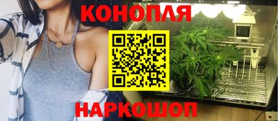 гидропоника Рязань