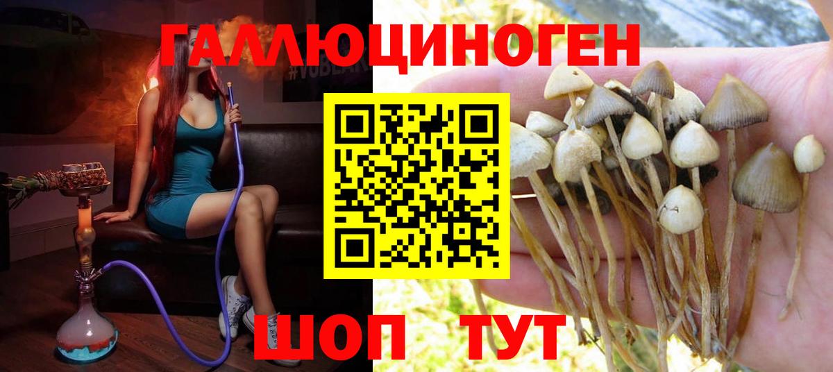 Галлюциногенные грибы Psilocybine cubensis  Вход с VPN  Россошь 