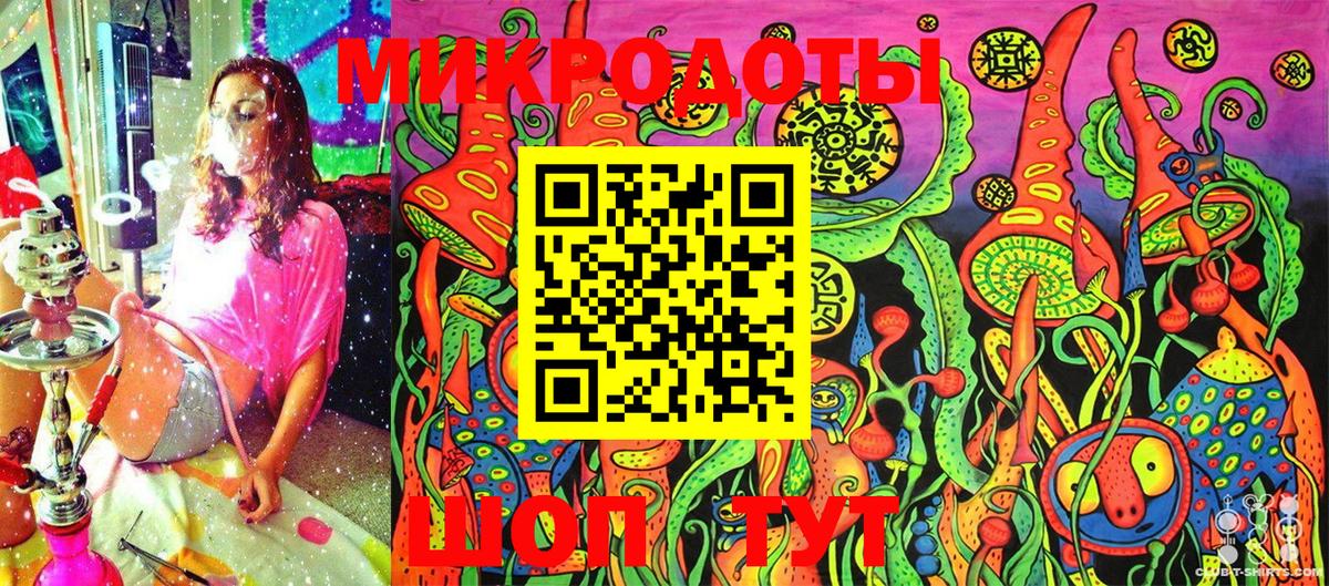 Псилоцибиновые грибы Psilocybe Россошь